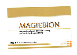 Magiebion